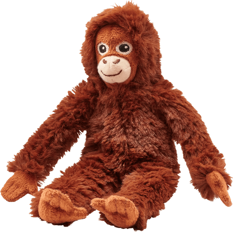 The UTS Robotics mascot, an orangutan plush